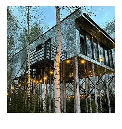 Отражение Мечты: Как Мы Создали Зазеркалье Посреди Подмосковного Леса